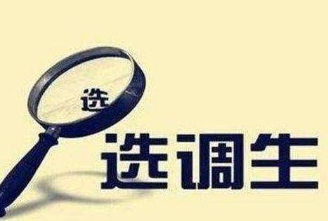 应届一年内，有5次考上编制的机会！