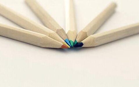 五年级班委岗位责任制