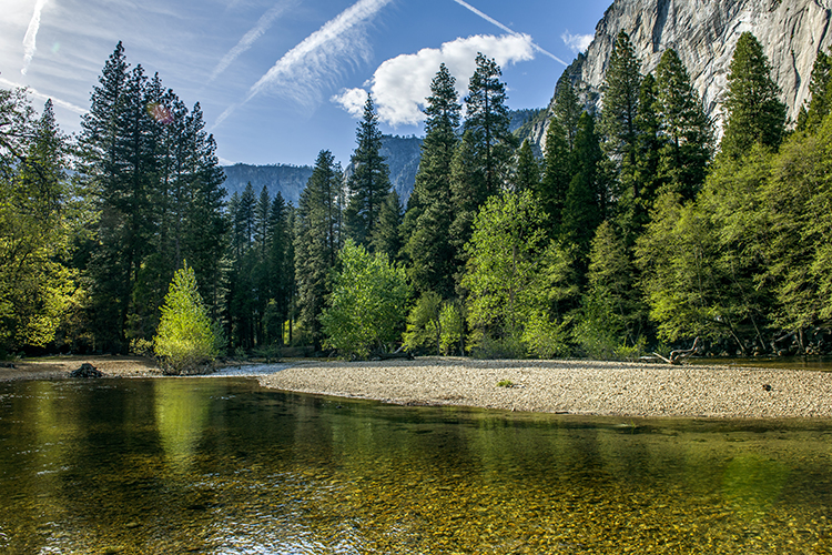 回归自然的精美句子（回归自然享受生活散文）