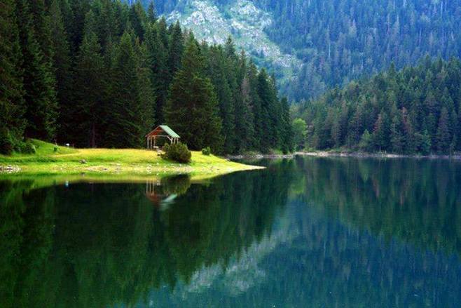 回归自然的精美句子（回归自然享受生活散文）