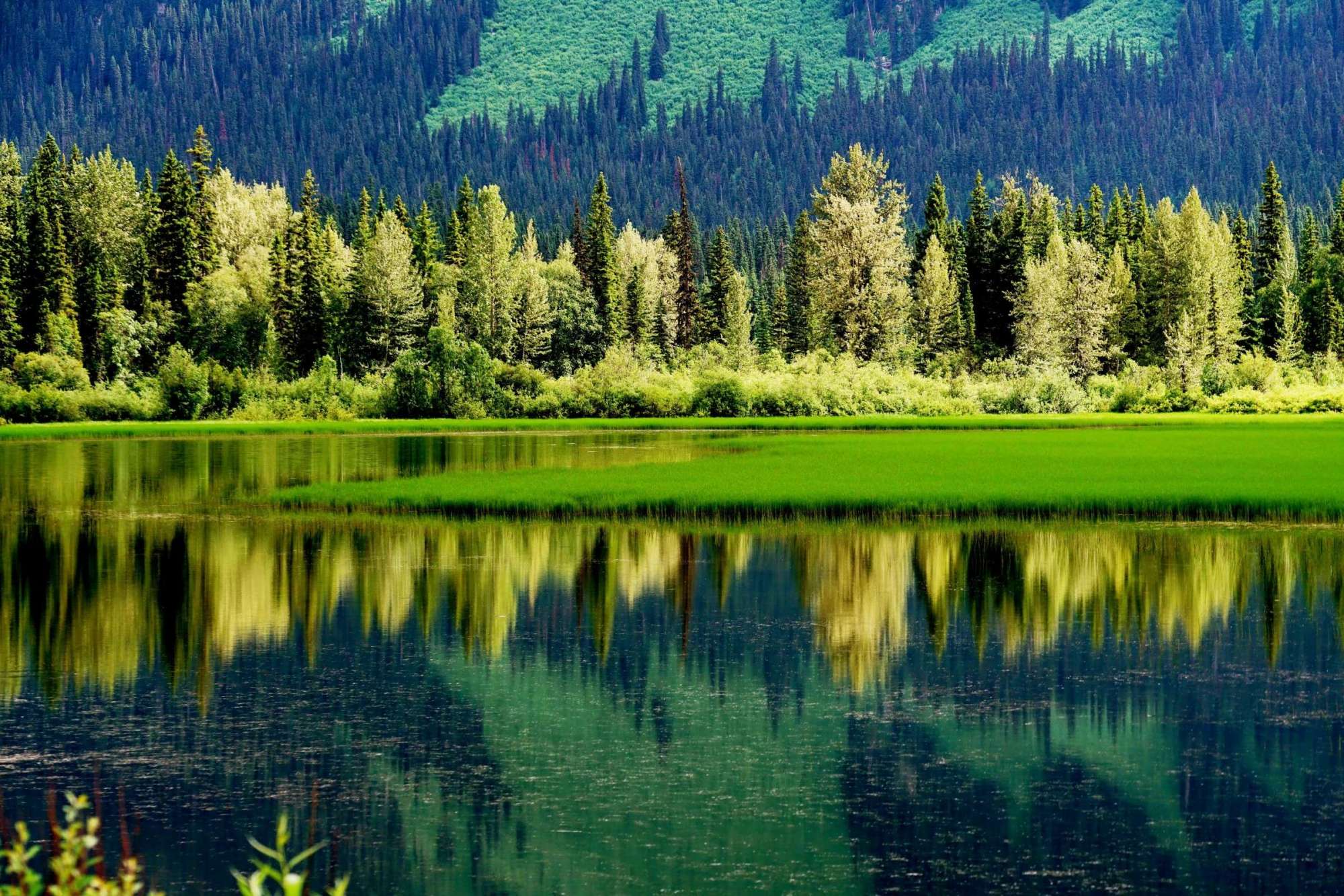 回归自然的精美句子（回归自然享受生活散文）