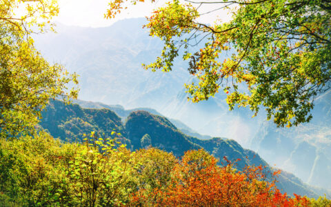 关于梦想的唯美语录简短（一段关于梦想的话和感悟）