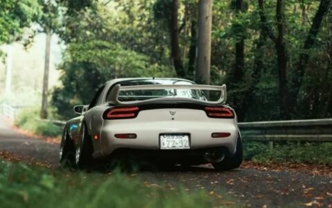 懂懂学医学——颈椎