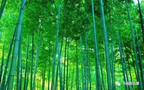 这十首古诗词，看着真舒坦！