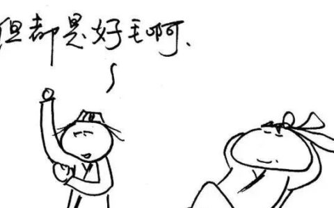 肛毛都不能随便剃，脏腑又怎么能随便割呢？