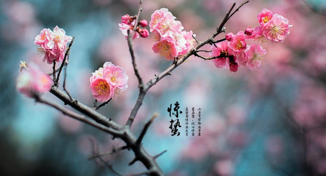 惊蛰古诗有哪几首（有关惊蛰的优美古诗词欣赏）