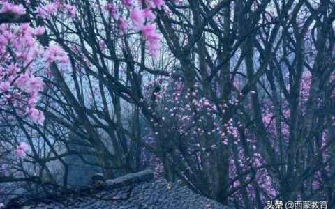 乌鸣涧的古诗是什么（乌鸣涧古诗全文和解释）