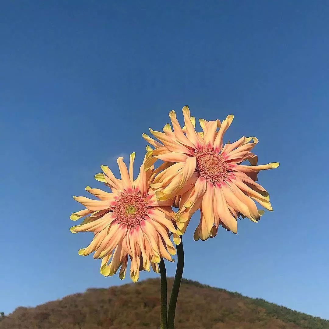 形容岁月静好的诗句（十首描写静的古诗词）
