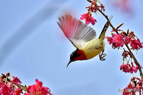 形容春天的四字词语（描写春天的季节景色赏析）