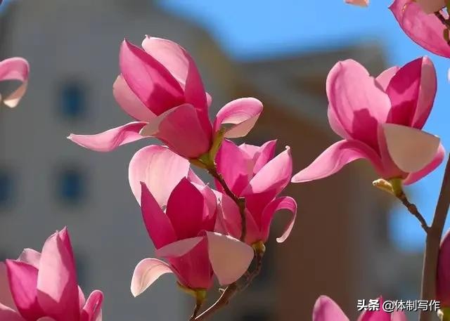 鼓励抗击疫情的话（抗击疫情鼓励加油的话）