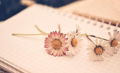 年终红包怎么花理财师建议做合理投资