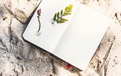 科学理财才能告别“月光族”