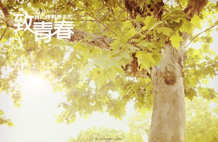 致青春语录励志（致青春的唯美句子）