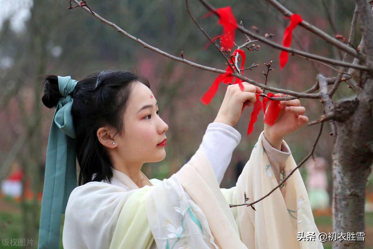 关于青春的诗歌简短（怀念青春的诗句经典）
