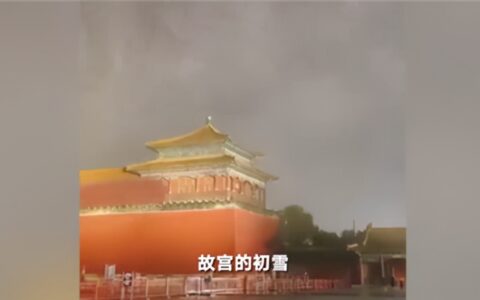 故宫迎飞雪白雪镶红墙（美不胜收）