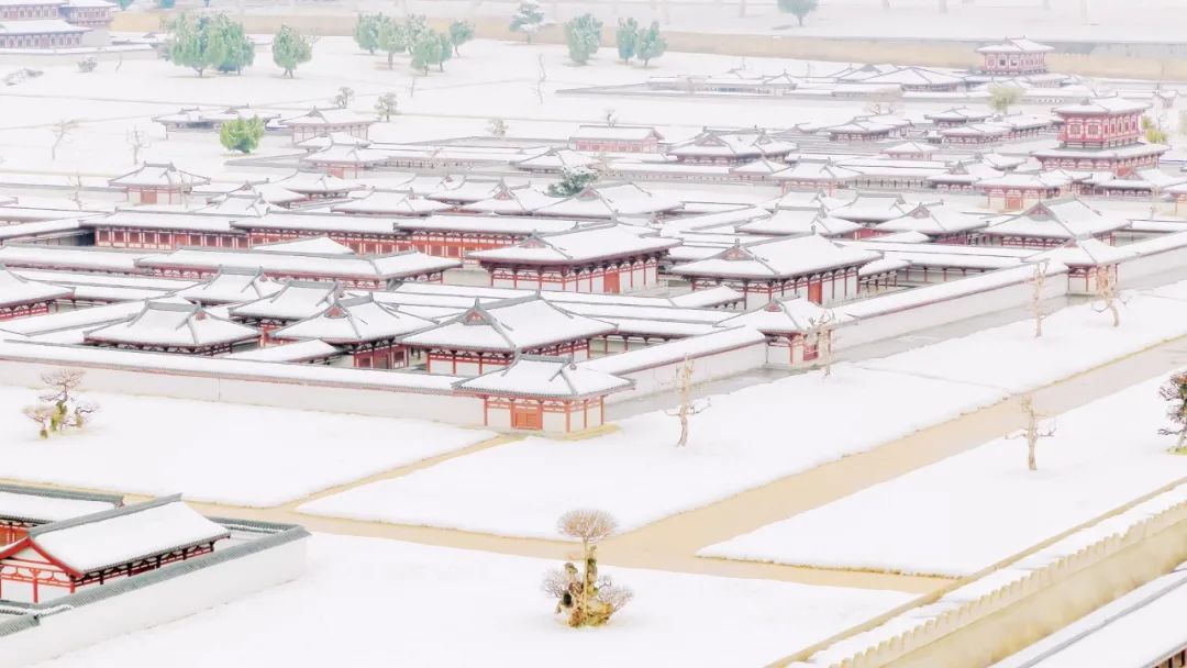 描写雪的古诗句子有哪些（关于雪的古诗大全整首）