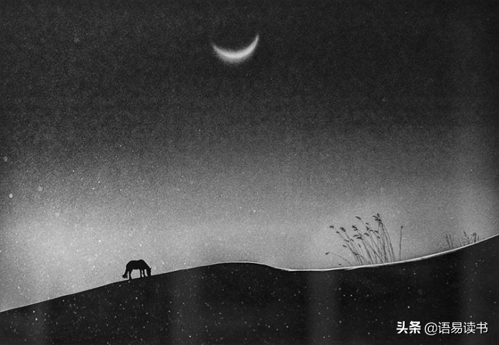 李贺的马诗表达的感情(马诗原文及翻译)