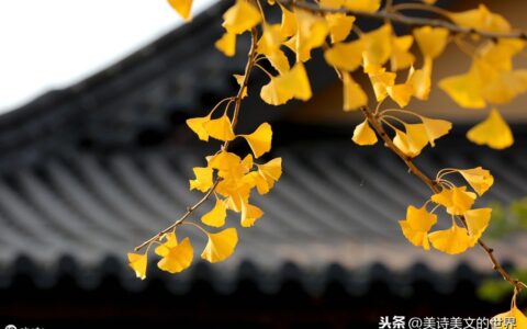 秋词刘禹锡创作背景(刘禹锡秋词赏析)