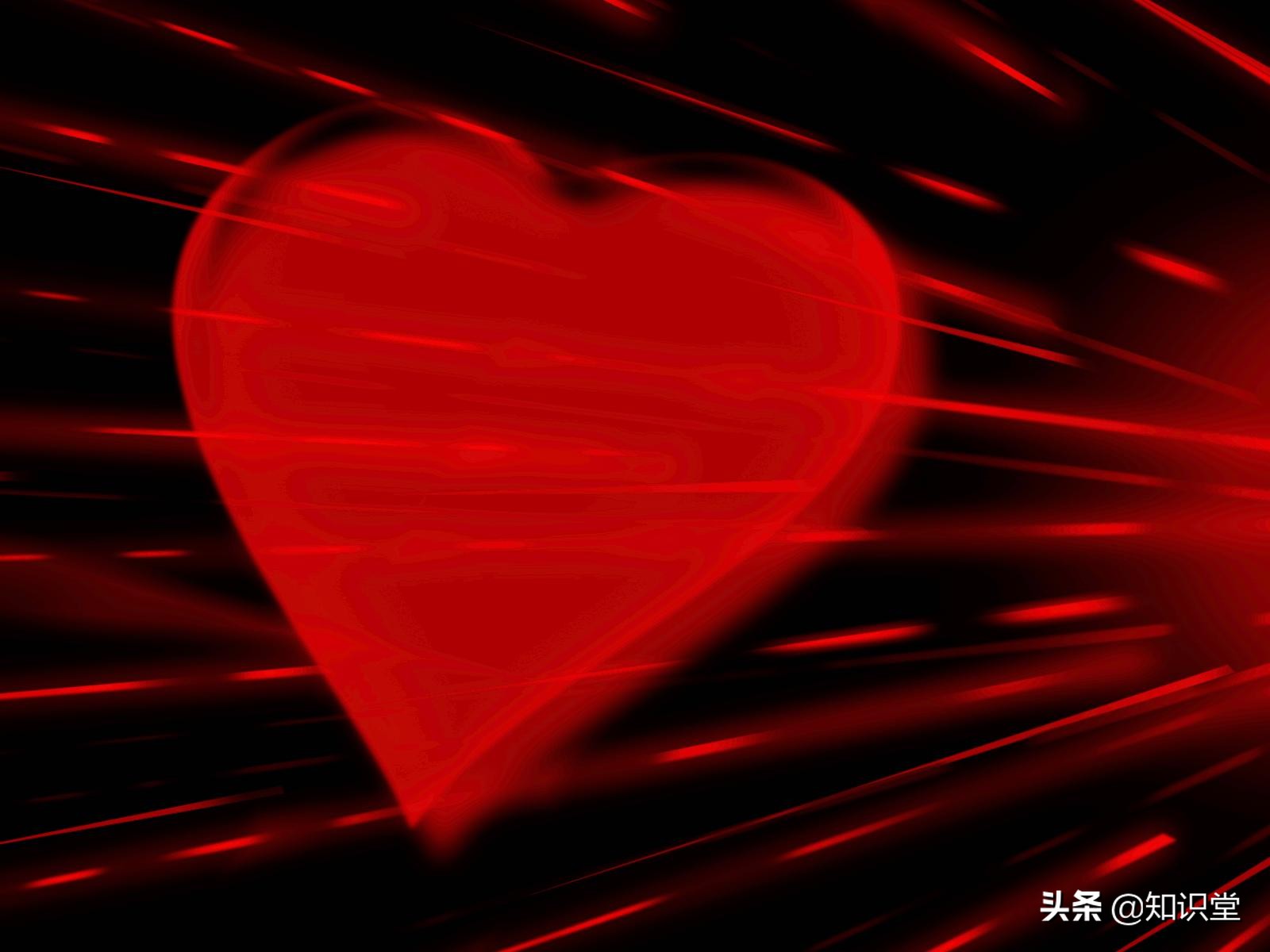 情人节祝语短语（温馨祝福朋友短语）