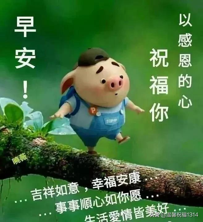 祝福身体健康的祝福语（表达健康平安的成语）