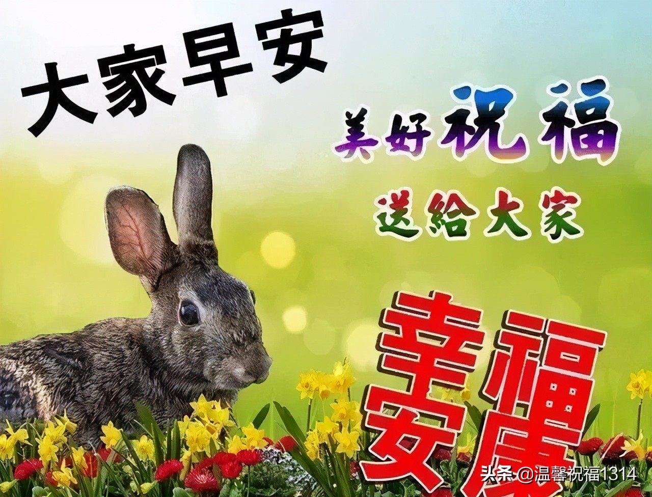 祝福身体健康的祝福语（表达健康平安的成语）