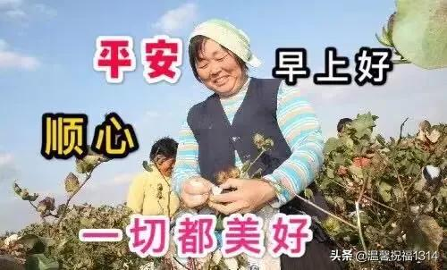 祝福身体健康的祝福语（表达健康平安的成语）