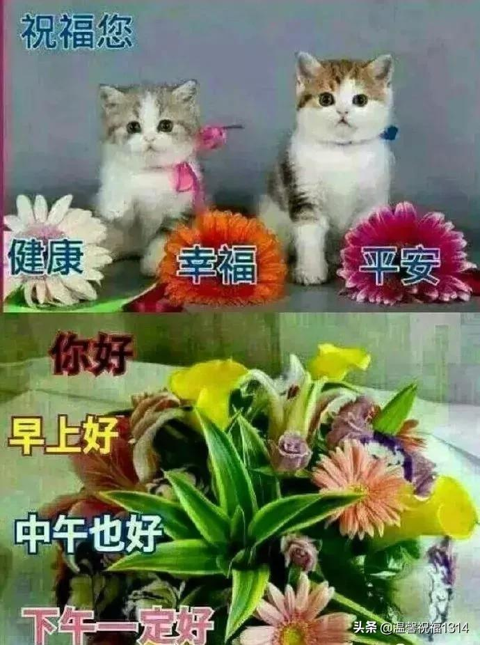 祝福身体健康的祝福语（表达健康平安的成语）