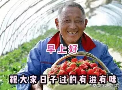 祝福身体健康的祝福语（表达健康平安的成语）