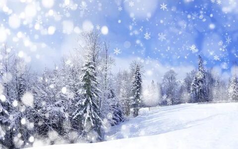 雪的散文随笔（描写雪的散文名篇）