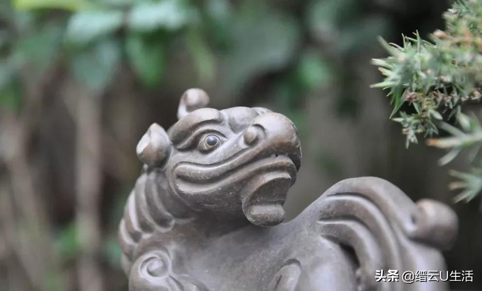 小人物故事情节（无私奉献的小人物和事迹）