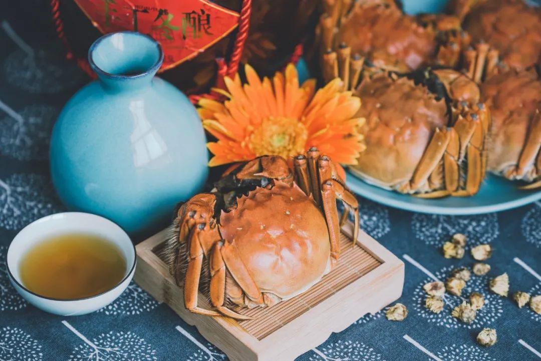 重阳节经典的古诗大全（最好的重阳节诗词）