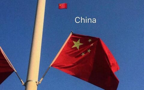 我的中国心演讲稿500字（百年党史峥嵘岁月演讲稿）