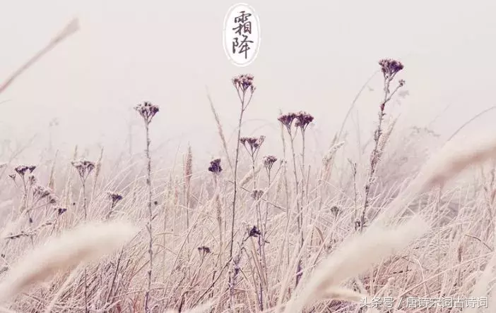 霜降的诗句有哪些（关于霜降的诗句古诗大全）