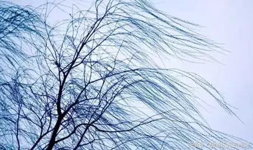 霜降的诗句有哪些（关于霜降的诗句古诗大全）