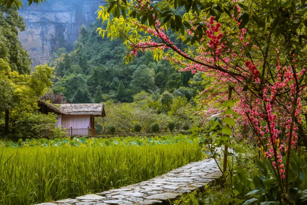描写下雨的优美句子摘抄（下雨天的伤感经典句子 ）