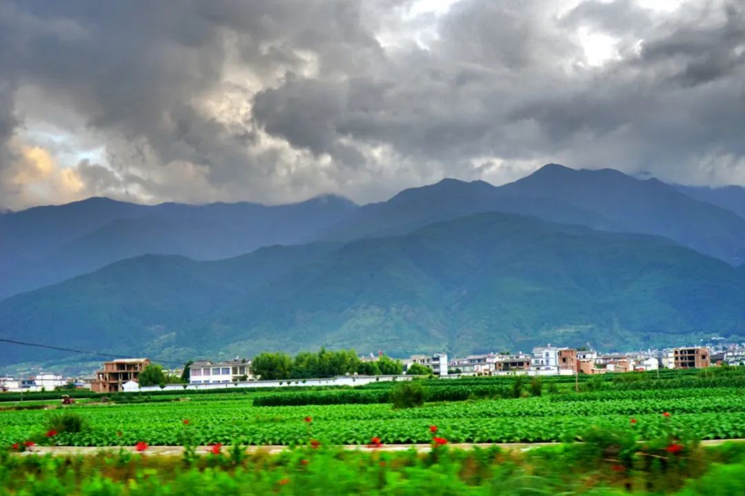 描写下雨的优美句子摘抄（下雨天的伤感经典句子 ）