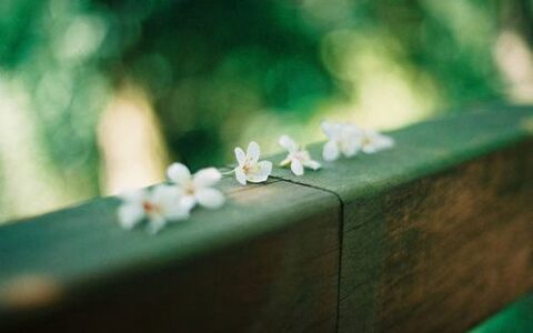 活着很累很想死的说说 想结束自己的生命说说