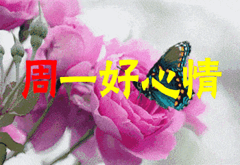 周一祝福短信（周一让人心情好的祝福）