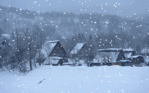 形容雪景的优美句子（描写雪的诗句唯美）