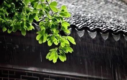 冬雨的诗句有哪些（冬雨的唯美句子分享）