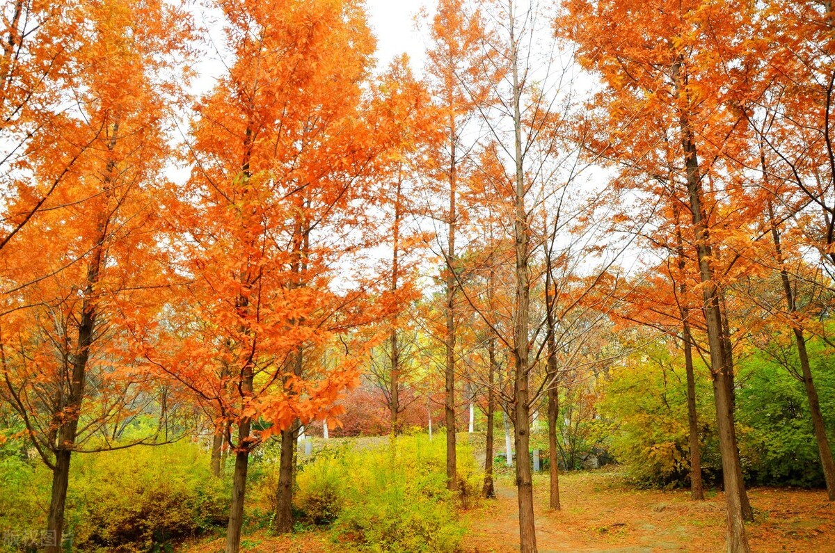 冬日暖阳岁月静好诗句（形容岁月静好的唯美诗句）