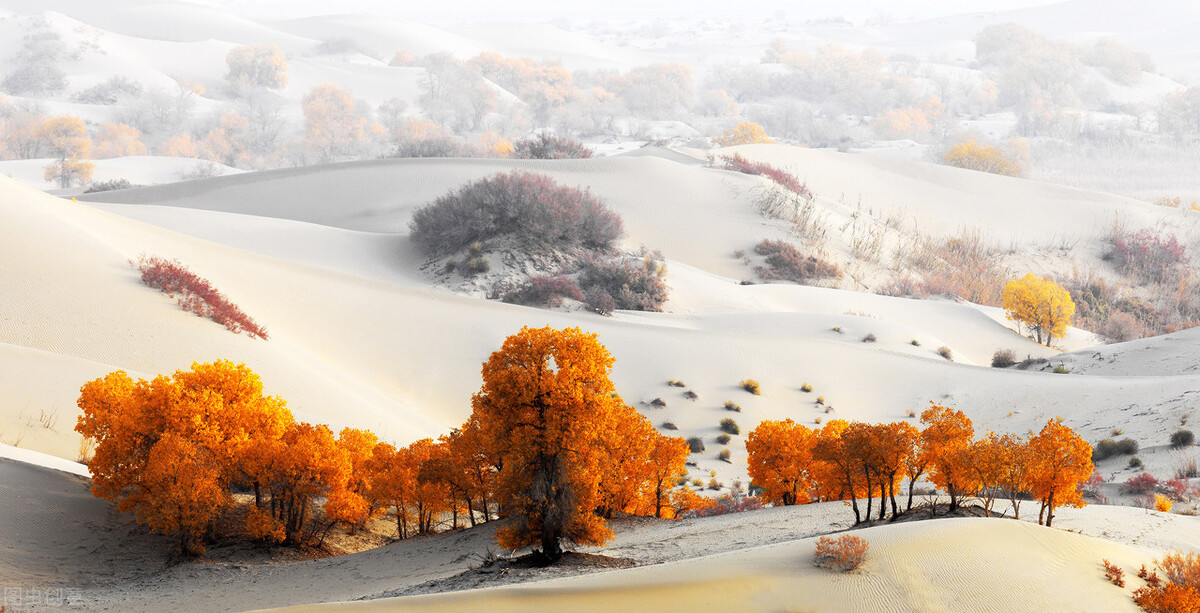 冬日暖阳岁月静好诗句（形容岁月静好的唯美诗句）