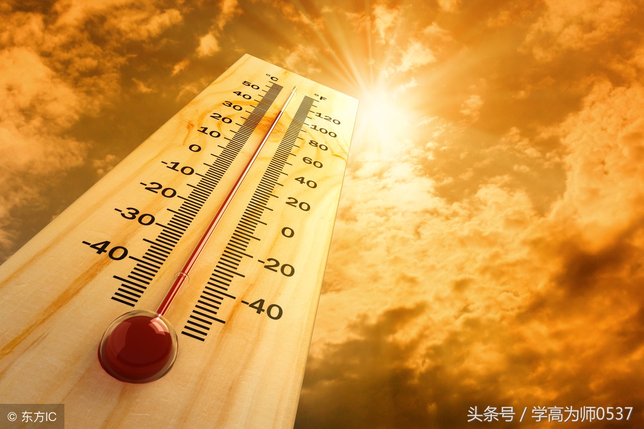 写夏景的诗句有哪些（描写夏季景色的诗句）