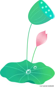 关于写荷花的诗句有哪些（描写荷叶的诗句古诗）