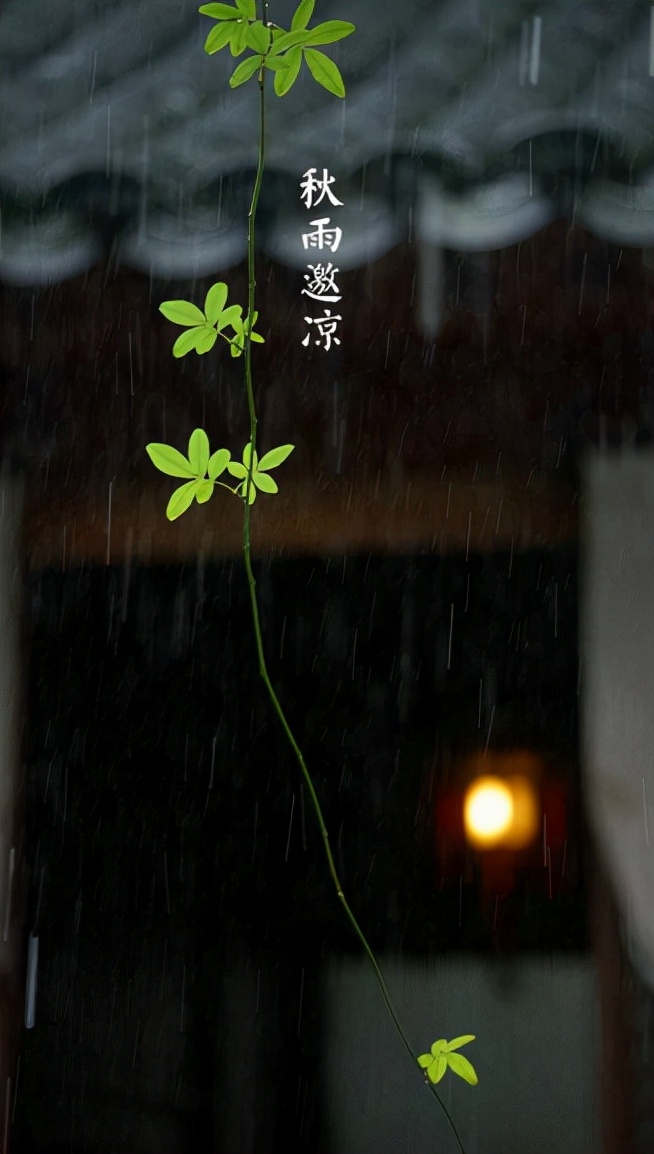 含有秋雨的诗句（有关描写秋雨的诗句分享）