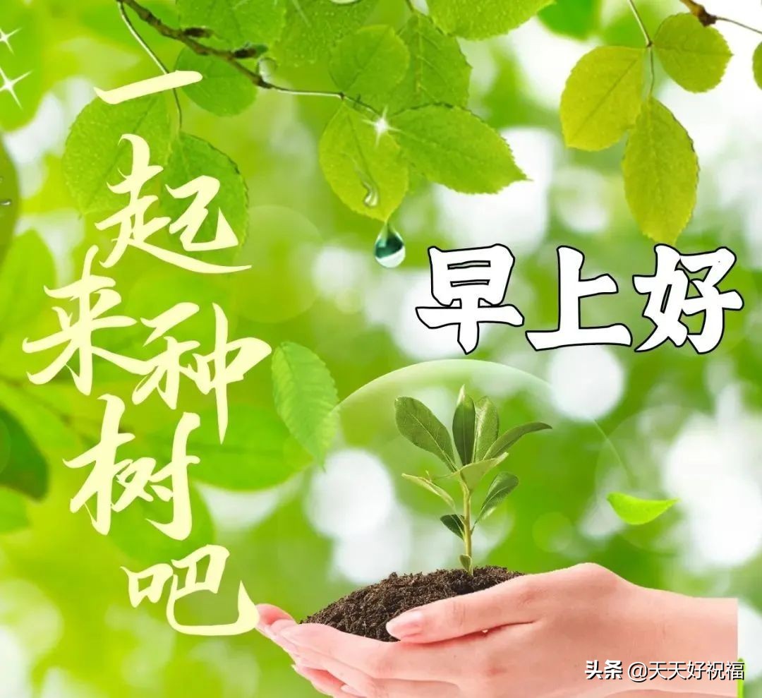 植树节的优美句子（赞美植树节的诗词）
