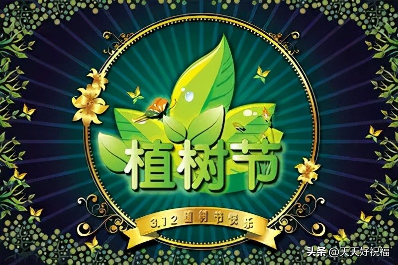 植树节的优美句子（赞美植树节的诗词）
