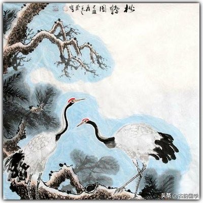 赞美松树的诗句有哪些（歌颂松树品格的诗句）