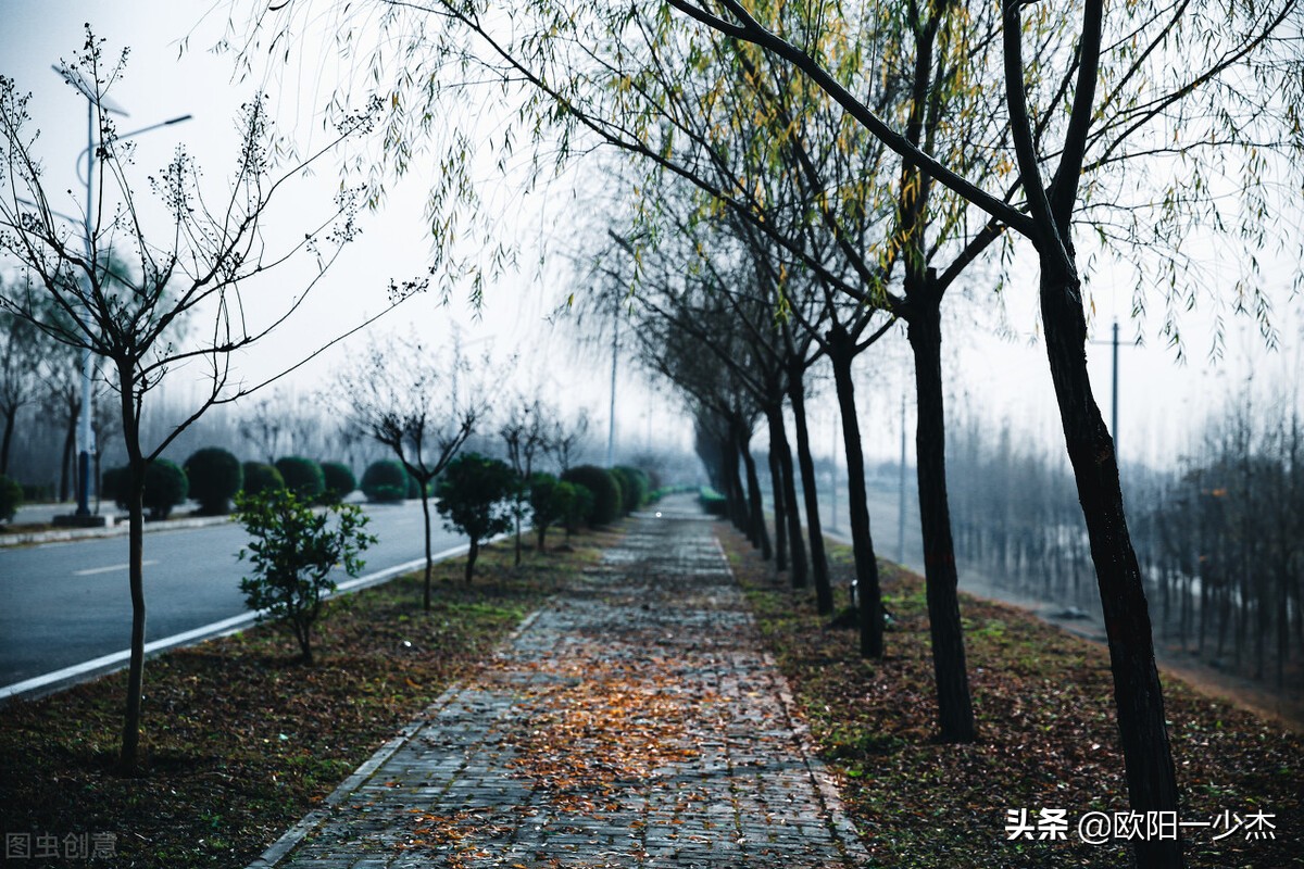 描写秋雨的句子摘抄（秋雨的句子简短唯美）