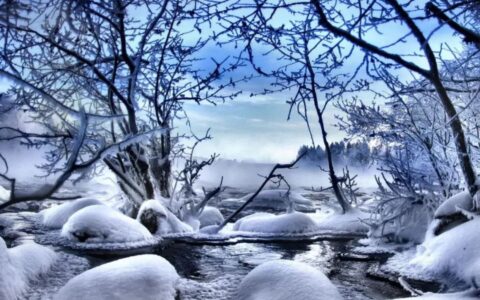 描写雪的浪漫诗句（雪花飘落的唯美句子）